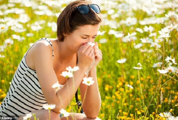 அடுத்த வாரம் ஆட்டிப் படைக்கப் போகும் Hay Fever எப்படித் தடுப்பது ? 10 வழிகள் இதோ !